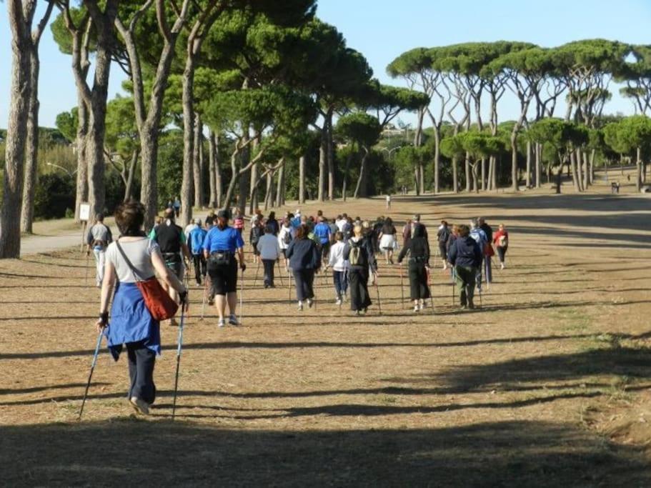 A Casa Di Pe' Casa Vacanze Roma Eksteriør bilde